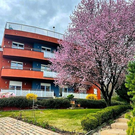 Rosehill Garden Family Villa With A Great Budapest View 외부 사진