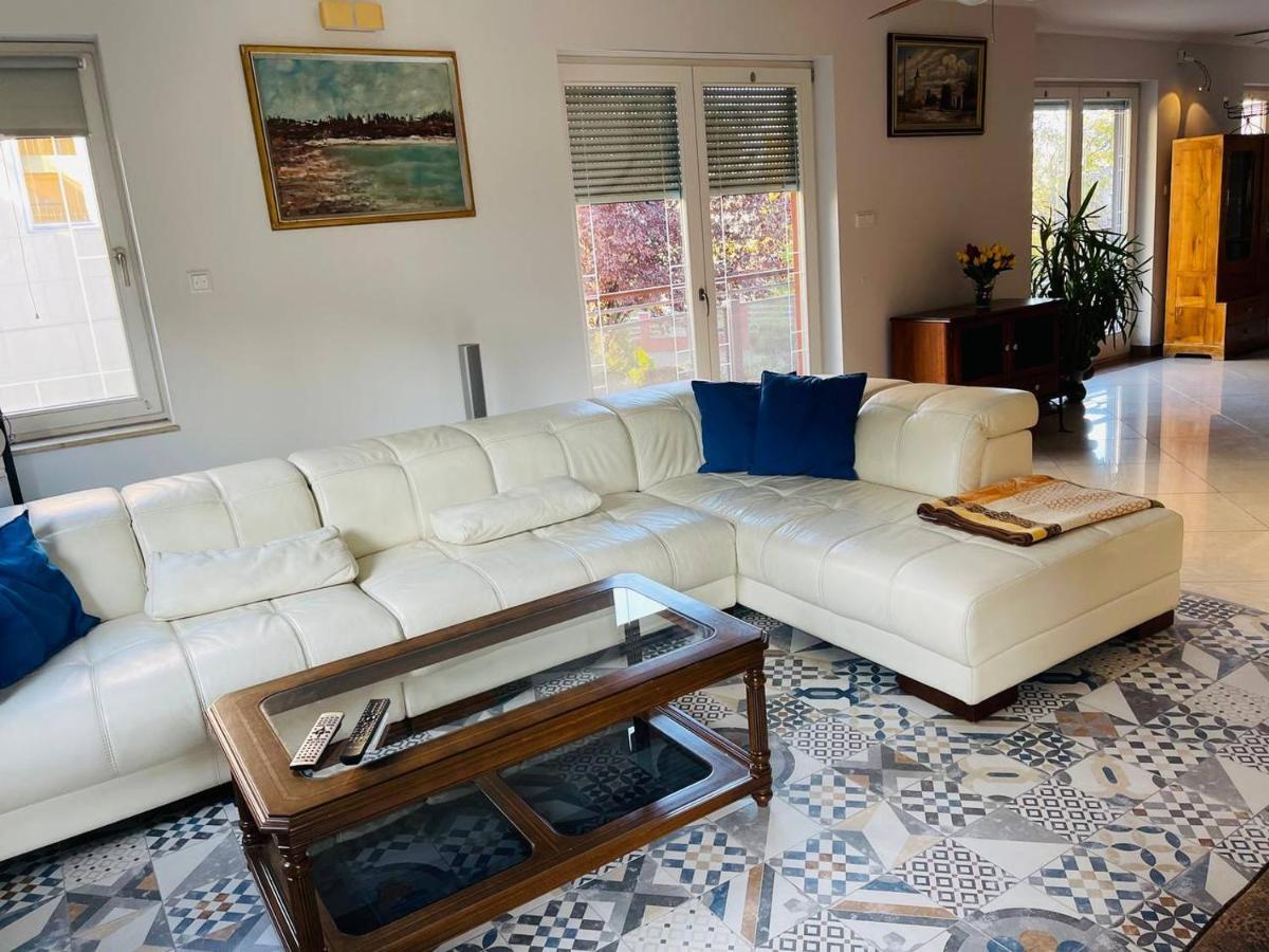 Rosehill Garden Family Villa With A Great Budapest View 외부 사진