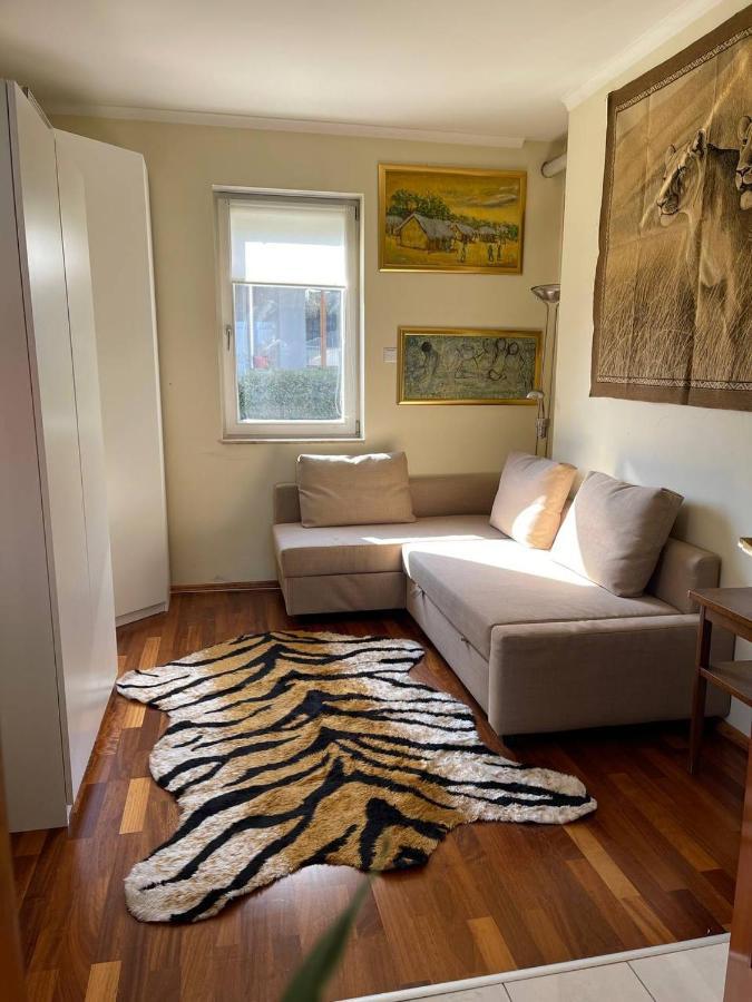 Rosehill Garden Family Villa With A Great Budapest View 외부 사진