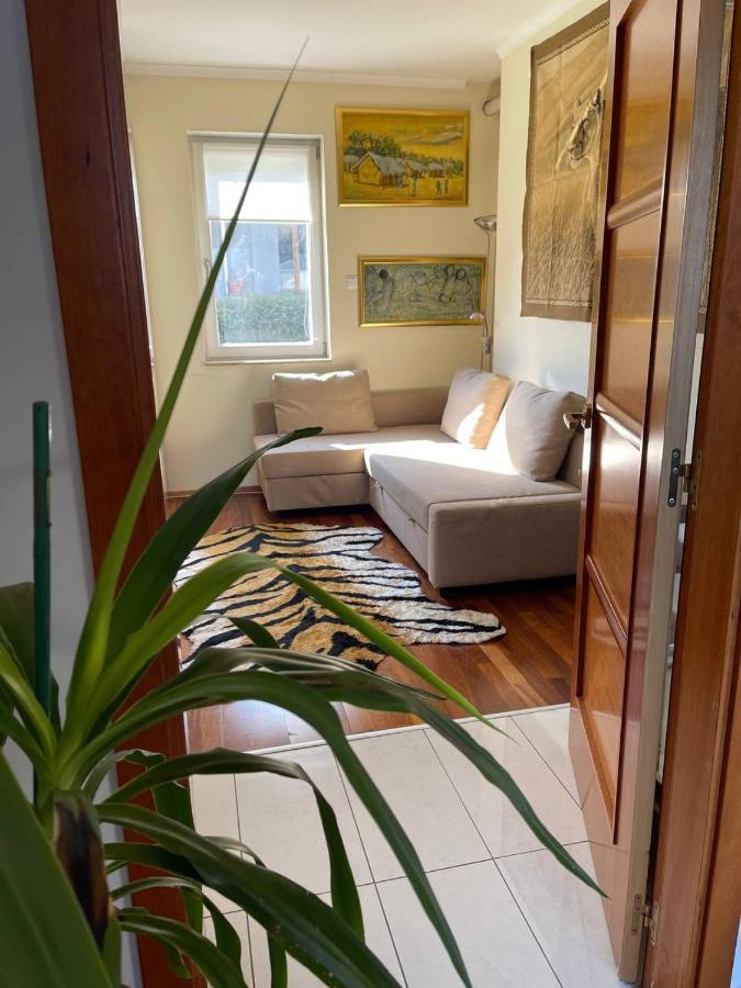 Rosehill Garden Family Villa With A Great Budapest View 외부 사진