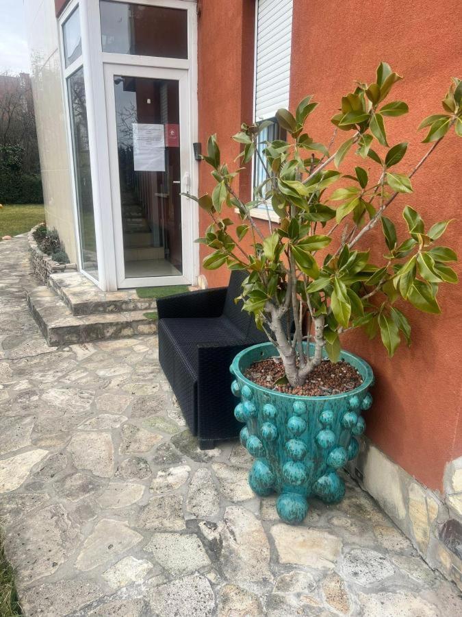 Rosehill Garden Family Villa With A Great Budapest View 외부 사진