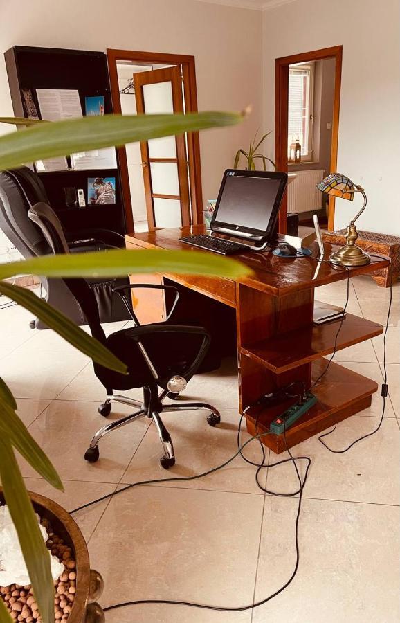 Rosehill Garden Family Villa With A Great Budapest View 외부 사진
