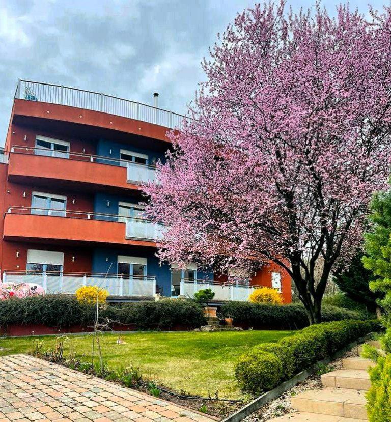 Rosehill Garden Family Villa With A Great Budapest View 외부 사진